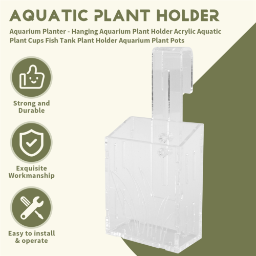 Support suspendu pour plantes d'aquarium - A 2