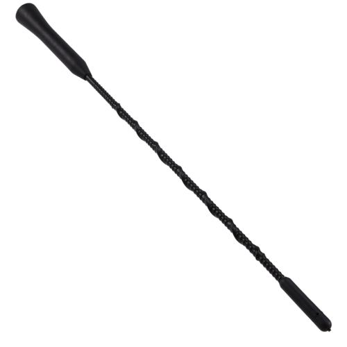 Antenna nera per autoradio AM/FM per Enclave 1