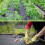 Weed Control Membrane Durable Barrier Breathable 3