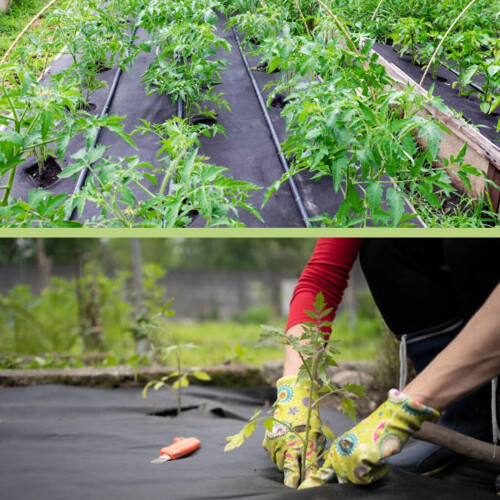 Weed Control Membrane Durable Barrier Breathable 2