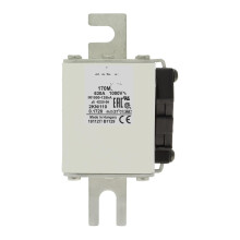 1000V Voltage Fuse 170M5973 Industrial Power Protection with Fast Acting Response