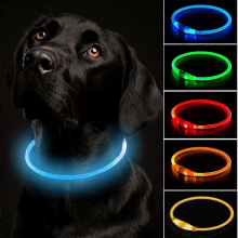 Collare luminoso per cani, ricaricabile tramite USB, con lunghezza regolabile, tagliabile, impermeabile, lampeggiante, argento nero