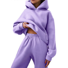 Sweatsuits for Women Set 2 Piece Hoodie Outfits Long Sleeve Pullover Tops Spring SweatshirtsCOFFEEL