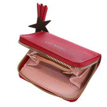 Klein portemonneetje met ritssluiting voor dames, voor pasjes en muntjes, mini-portemonnee (2 stuks)