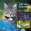 (Black)Catcam Pro, Cat Cam Pro 2.0, HD 1080p Video Camera Mini Collar Camera 4