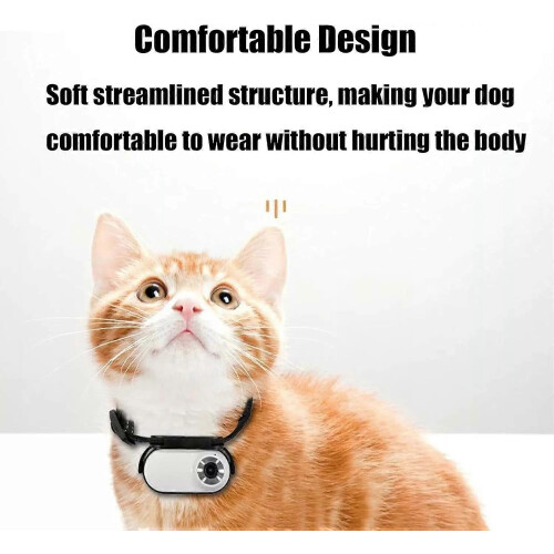 (Black)Catcam Pro, Cat Cam Pro 2.0, HD 1080p Video Camera Mini Collar Camera 2