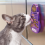 KONG KONG Licks Kitty Small 5