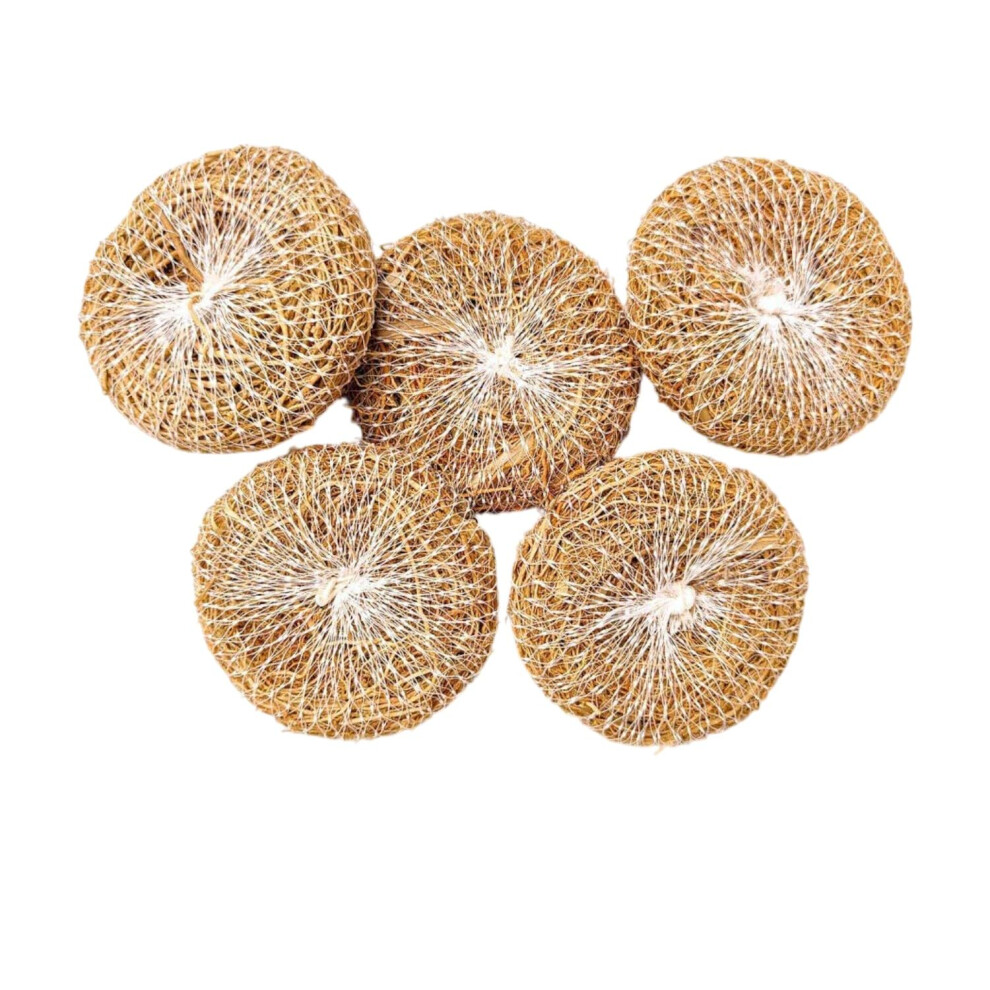 Coconut Fiber Body Scrubber Pack of 5, EcoFriendly Natural Bath Scrubber for Gentle Skin Exfoliation