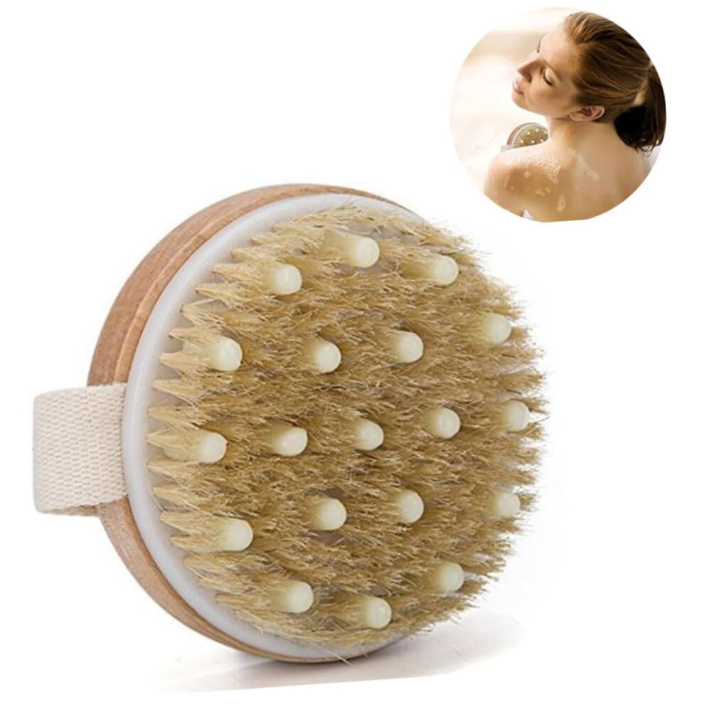 Natural Bristle Body Exfoliating Brush with Handle for Gentle Skin Massage and Circulation