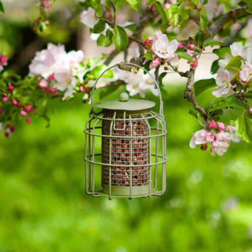 ChapelWood Compact Squirrel Proof Peanut Feeder