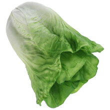 Realistic Artificial Lettuce Lifelike Vegetable Model for Home, Restaurant & Photography Decoration Premium Craftsmanship, Fresh & Easy Care
