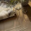 (Beige)Oliana Paneelbehang Belgravia 5