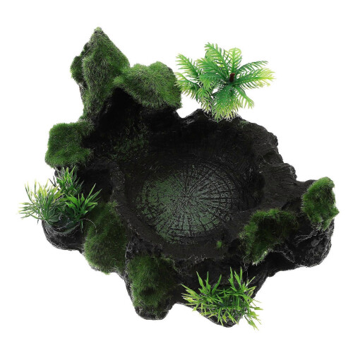 Reptile Meal Dish, Ensures Secure Feeding, Convenient for Daily Use 1
