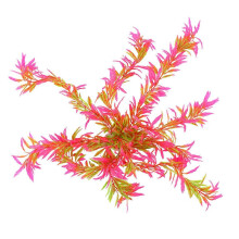 Aquarium-Wassergras-Dekoration, natürliche Kunststoffpflanze für Aquarien, rot, 0,00 x 15,00 x 10,00 cm, 1 Stück