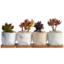 Bloempottenset van keramiek met drainagegaten voor vetplanten, geschikt voor op je bureau, in diverse kleuren, 8 x 8 x 8 cm, 1 set
