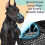 Dog Muzzle Adjustable Soft Mesh No Bark Training Breathable AntiBiting for Large Dogs Black 2XL 4