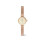 Daniel Wellington Daniel Wellington Kobietyzegarek DW00100741 1