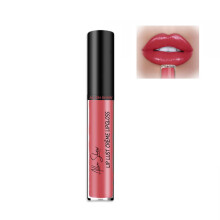 Liquid Lipstick 12 Colors Velvet Matte Long Lasting Waterproof Non Transfer Pigment 01#