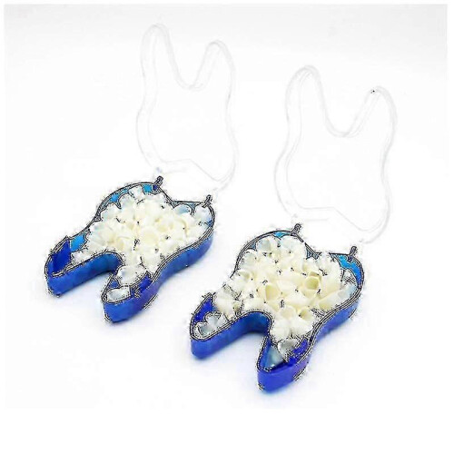 Temporary Denture Braces Occlude Upper Dentures Veneer Dentures Missing Teeth Broken Teeth Elq 2