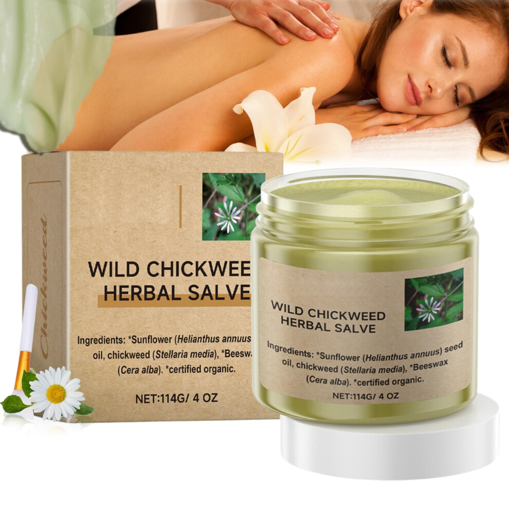 Wild Chickweed Salve Organic Herbal Moisturizing Cream for Dry and Sensitive Skin with Brush