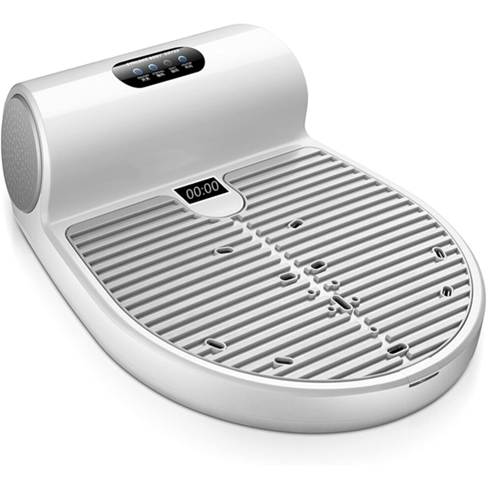Body Dryer with Smart Scale, Waterproof Negative Ion Full Body Hair Dryer for Bathroom Spa Use