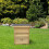 Actiasbee National Bee Hive in Pine with Flat roof 2