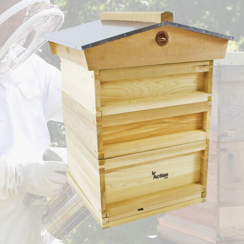 Assembled Actiasbee Pine Bee Hive 2 Super 1 Brood 1