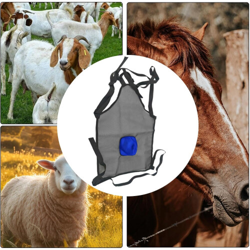 Goat Breeding Control Apron with Quick Release and Breathable Mesh for Farming 2