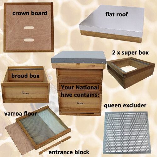 Actiasbee National Bee Hive in Cedar with Flat Roof 2