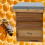 National Bee Hive Cedar 2 Super 1 Brood frames and wax 4