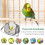 Foldable Lightweight Bird Travel Cage Backpack with Ventilation and Clear Windows for Small Parrots 5
