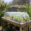 Smart Garden Smart Garden G50 Poly Sheet - 2m x 5m 1
