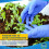 MediHands Nitrile Gloves Large, Blue Heavy Duty Di 5