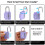 SharkByte 2 Pack Heavy Duty Combination Padlocks – 8