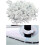 Round Cable Clips, 8mm Electrical Cable Wall Clip 6