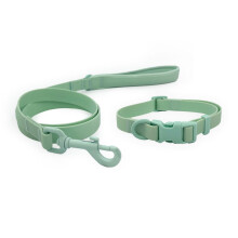 (Small, Mint) Skye & Murphy All Weather Snappy Collar & Lead Set