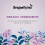 Dragonfly Organic Earl Grey Rooibos Tea, Pack 2