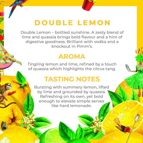Double Dutch Double Lemon | Low Calorie 2