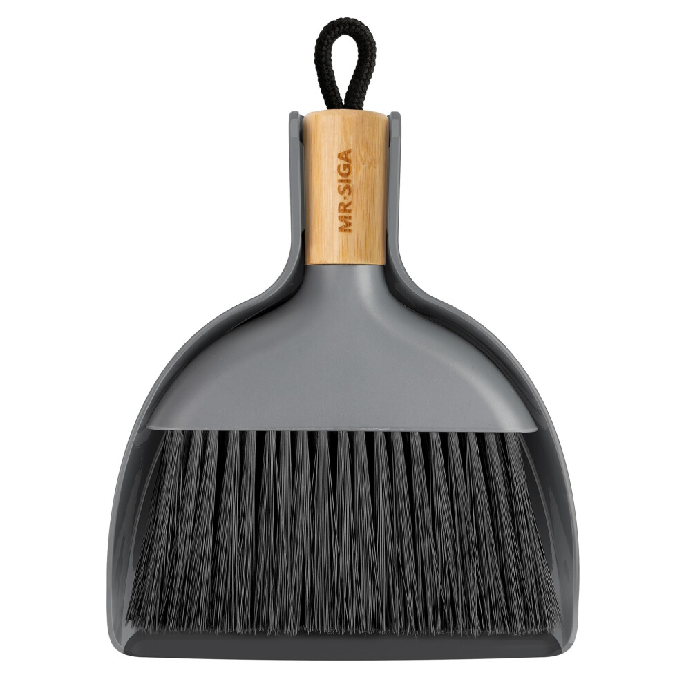 Mr.siga Mini Dustpan And Brush Sets, Dust