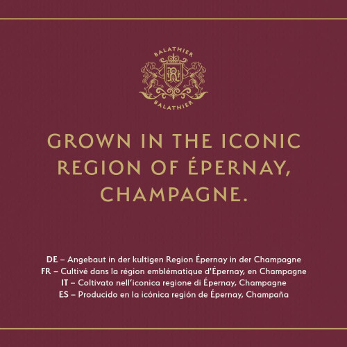 Balathier Champagne Brut Rosé, 75cl 2