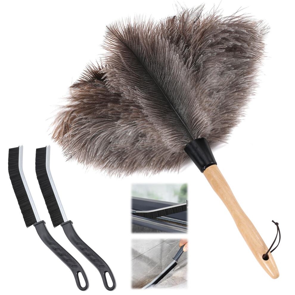Soarer Ostrich Feather Duster - 14 Inches