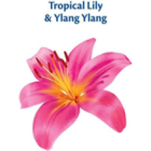 Surf Laundry Detergent Washing Liquid Tropical Lily & Ylang Ylang 100W 5L 2Packs