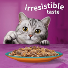 WHISKAS - 1+- Adult Wet Cat Food Pouches - 40 x 85 g - Surf and Turf in Jelly