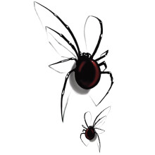 x3 3D Red Spider Temporary Tattoo - 3 Sheets of Animal fake tattoos | Arm, shoulder, neck, ankle, hand, leg | Black and Red | Waterproof and Safe for