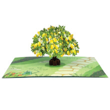 Origamo Pop-Up Greeting Card Lemon Tree Handmade Fold-Out 3D Any Occasion Cards