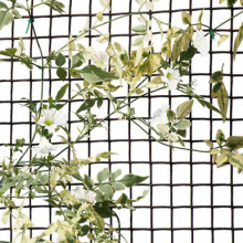 Smart Garden General Purpose 20mm Garden Mesh, Brown - 0.5m x 5m