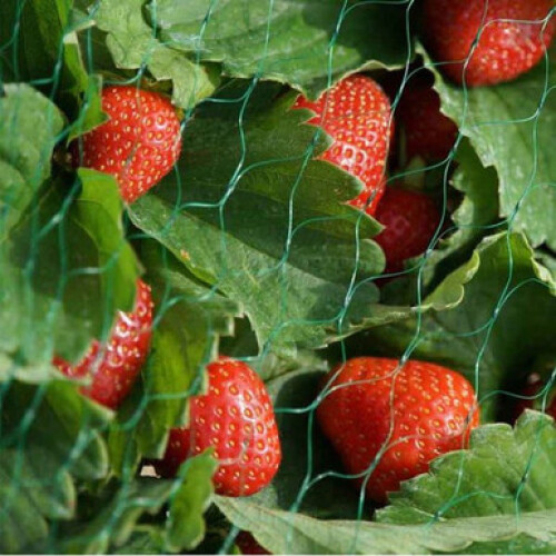 Smart Garden Smart Garden Garden Netting - 4m x 10m