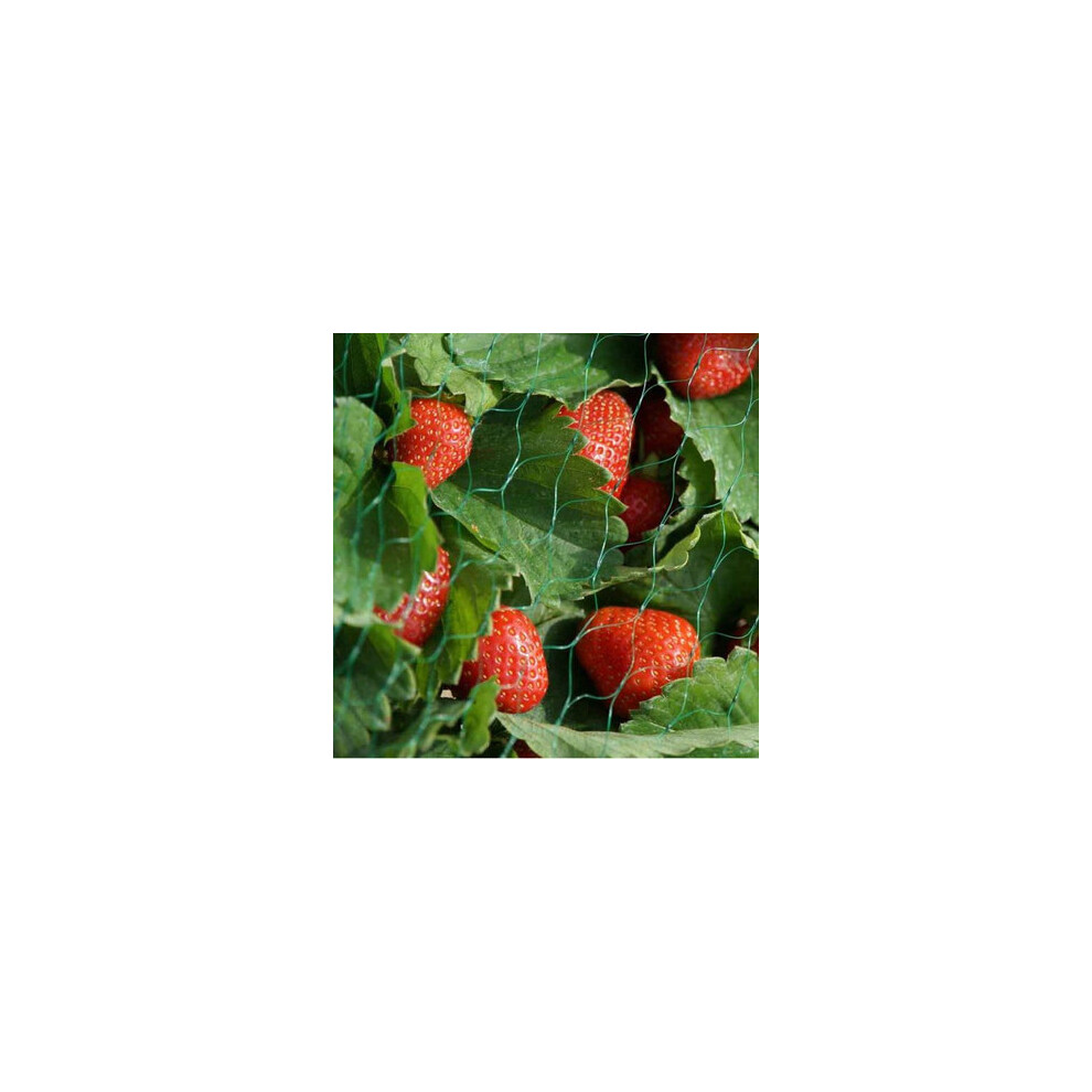 Smart Garden Garden Netting - 4M X 10M