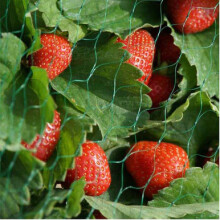Smart Garden Garden Netting - 2m x 10m