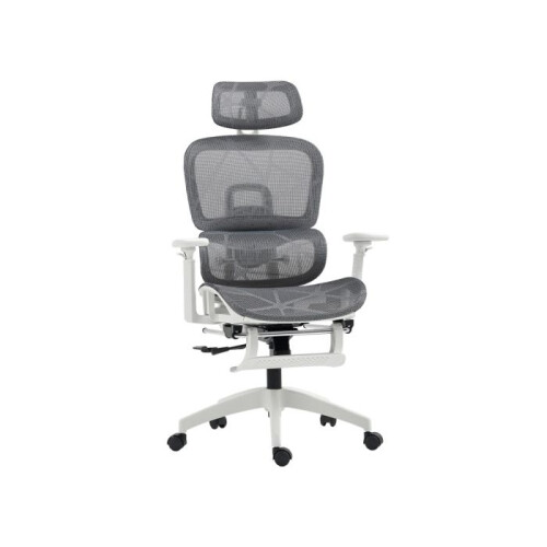 Multi-Adjustable Mesh Office Chair - Grey and White